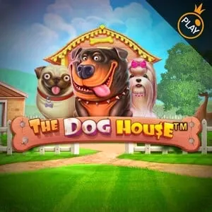 The Dog House – Wag Your Way to Wins